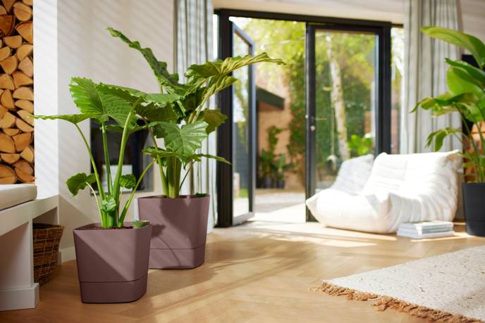 greensense aqua care square 38cm clay brown